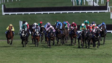 Cheltenham Festival 2019: What the traders are tipping ahead of .